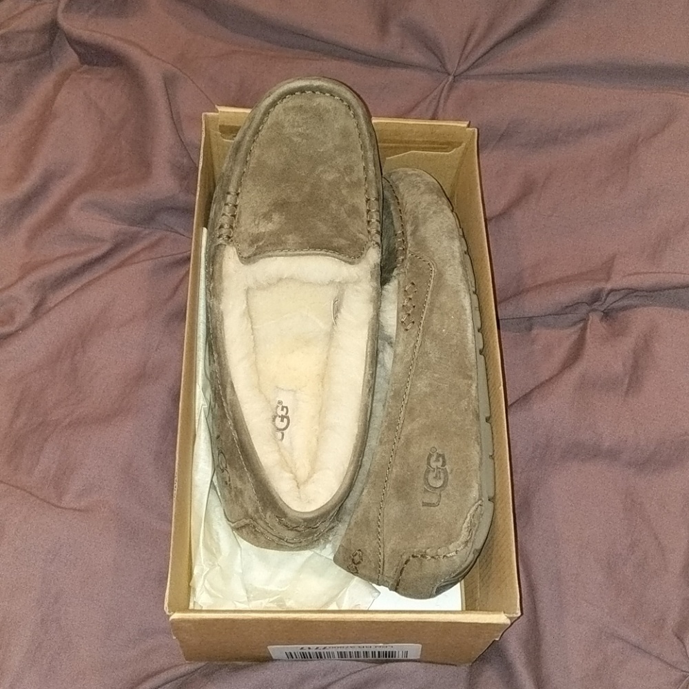 NIB UGG Ansley -- Spruce